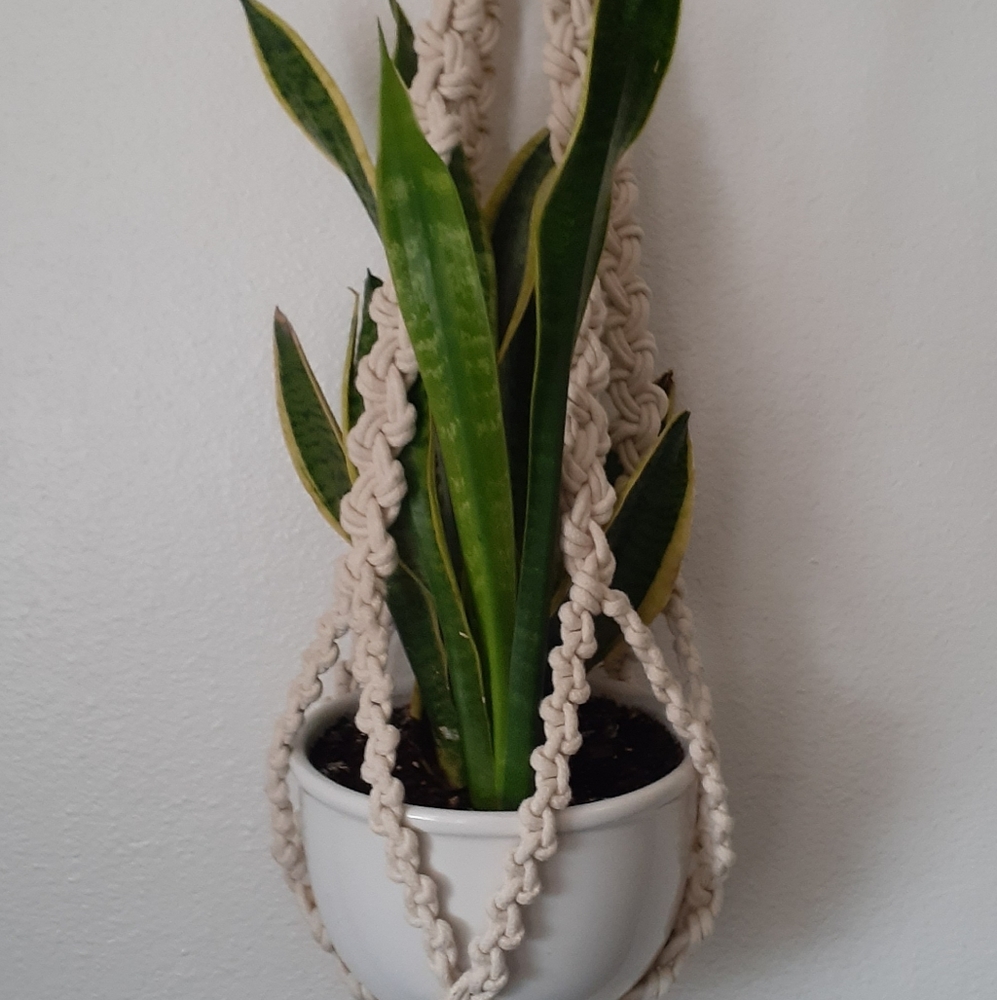Handmade large heavyweight macrame plant holder/hanger.